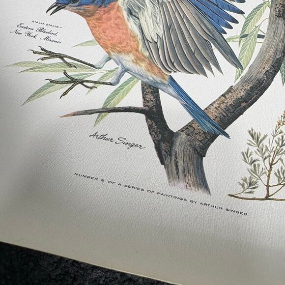 Arthur Singer Portfolio of Bird Prints Complete Set (8) - Vintage Botanical Art - Picture 15 of 16